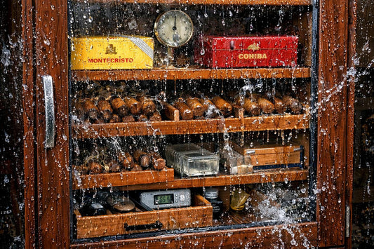 Boveda Packs im Humidor: Welche Größe, wie viele und wie oft wechseln?