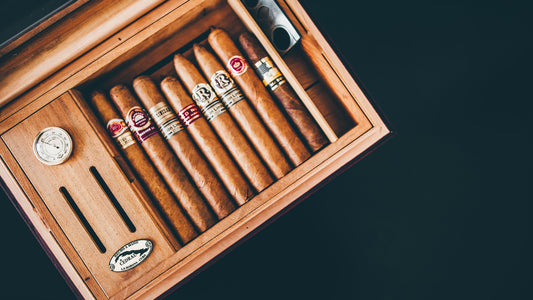 Boveda Packs im Humidor: Welche Größe, wie viele und wie oft wechseln?
